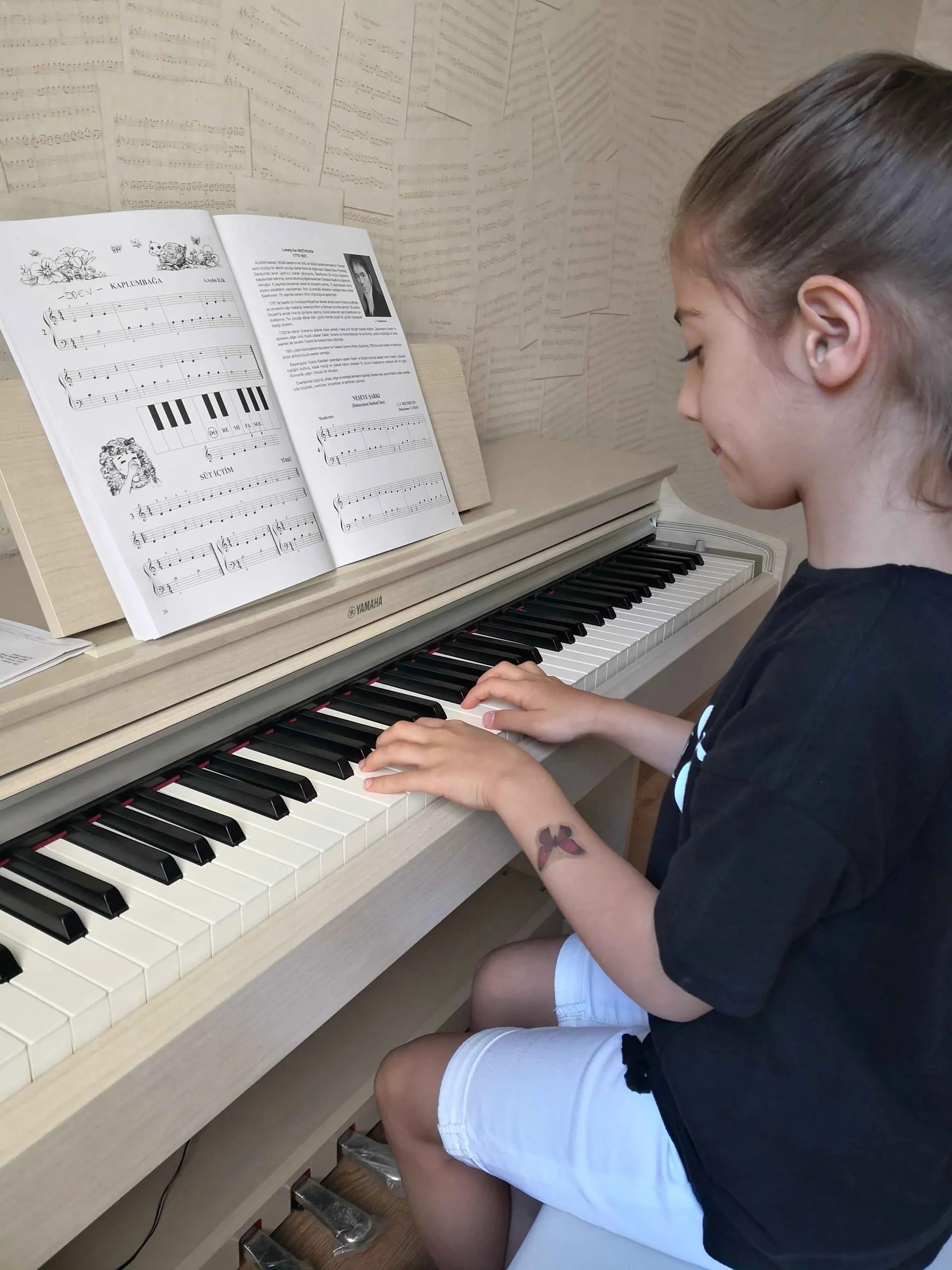 MÜZİK KURSU çalışması - FD Sanat Merkezi Kadıköy